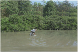 A photograph of Htu Htu Paw's father collecting clams in Burma, 2013