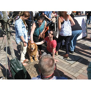 Petting a dog at the Boston Marathon Copley Square memorial