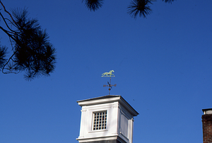 Rosenburg Center - Carriage House Cupola west facade with weather vane.