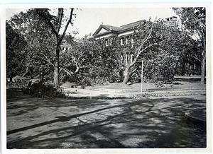 1938 Hurricane Aftermath, Melrose Public Library: Melrose, Mass.