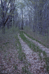 Driveway to Mansion from Northwest Hill Rd