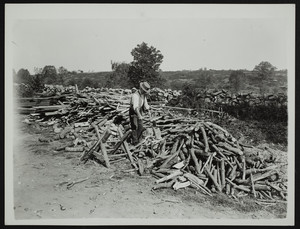 Orrin Fitzgerald, wood pile, York, Maine