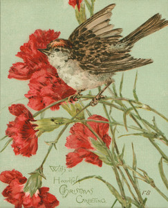 Christmas card, showing a sparrow and carnations, undated
