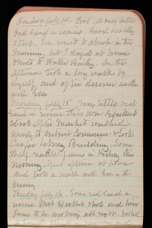 Thomas Lincoln Casey Notebook, March 1895-July 1895, 134, Sunday July 14