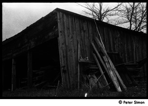 Ramshackle shed and stacked lumber