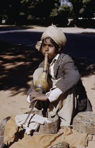 Young snake charmer in Delhi