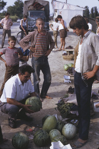 Buying watermelons