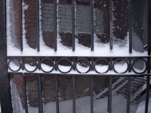 Iron grating in heavy snow, Main Street, Northampton, Mass.