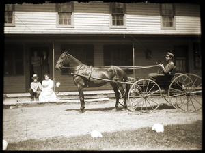 Driver with horse and buggy in front of Riverside Hotel (Greenwich, Mass.)