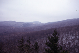 Panorama to the east from the top of a white pine in permanent plot 0712, Eastern frame #3.