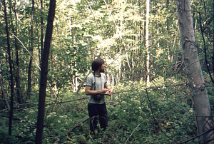 Taber Allison in the Birch Strips - strip 4.