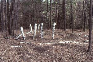 Environmental art installation by students in Environmental Art studio art course taught by Karen McCoy.