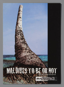 Portable nation : disappearance as work in progress, approaches to ecological romanticism : Maldives Pavilion 55th International Art Exhibition -- La Biennale di Venezia : exhibition materials