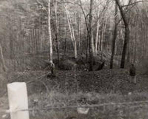 Sawing saplings around the Ephraim Williams monument, 1954