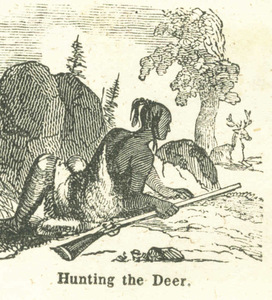 Hunting the deer