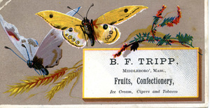 B. F. Tripp, fruits, confectionary, ice cream, cigars and tobacco