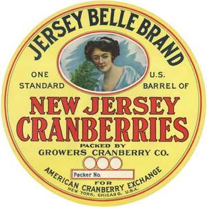 Jersey Belle Brand