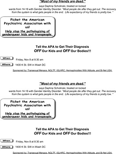 Picket the American Psychiatric Assocation With Us! Flyer