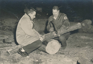 Felling a tree