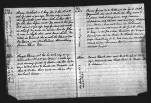 Tewksbury Almshouse Intake Record: Brown, Thomas
