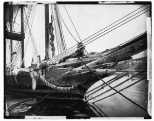 General marine photographic collection