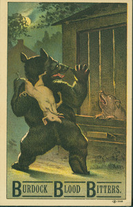 Trade cards for Burdock Blood Bitters, made by T. Millburn Drug Company, Buffalo, New York, undated