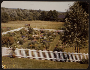 Exterior view of the Marrett House gardens, Standish, Maine, 1982