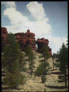 Pine trees, red rock formations