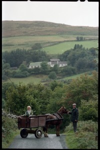 Margaret Heckler, United States Ambassador to Ireland, in a pony cart in the Wicklow Hills