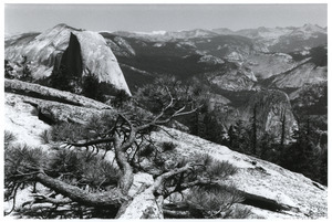 Half Dome from Sentinel Dome