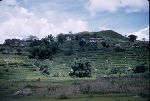 Terraced farming in Kathmandu Valley