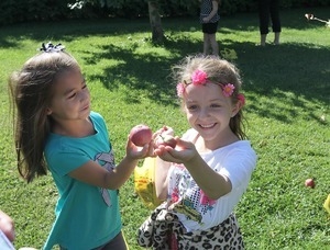 Little girls compare apples picked at Pippin Orchards, Cranston, R.I.