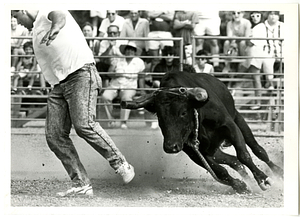 Luis Naves running from raging bull