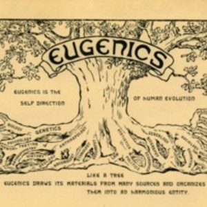 Certificate of appreciation from the Second International Congress of Eugenics