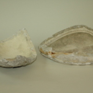 Dickinson-Belskie abdomen mold, 1939-1950