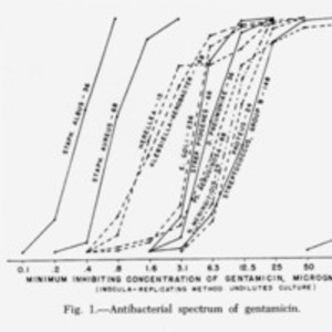 Antibacterial spectrum of gentamicin