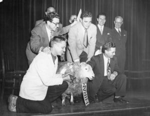 Suffolk University students and administrators unveil the new university mascot, Hiram the Ram, at Class Day