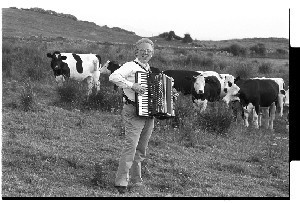 Paddy Noonan, Irish American musician. Playing his accordion for the cows in Co. Donegal