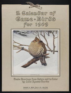 A Calendar of Game Birds for 1909