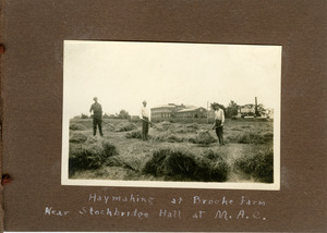 Haymaking at Brooke Farm, near Stockbridge Hall at M.A.C.