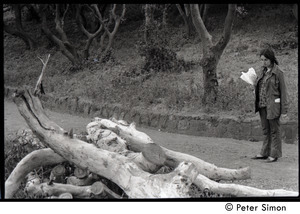 Verandah Porche walking along a dirt path, looking at a fallen tree limb