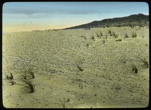 Flat desert with hill in background