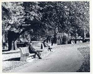 People sitting on benches in Boston Public Garden