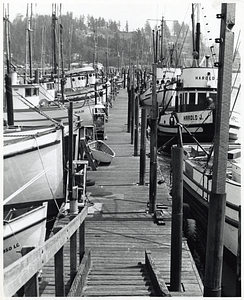 Dock likely in Yaquina Bay