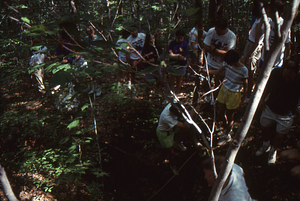 Alumni reunion members entering the Williams Caves, Pownal, VT.