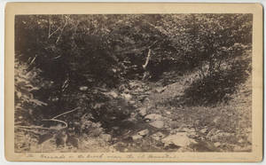 Photographs of Cart Road Crossing -- gorge near homestead