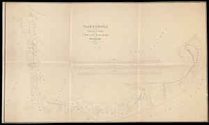 Plan 8 profile of the proposed extension of Cape Cod Railroad to Provincetown [Map].