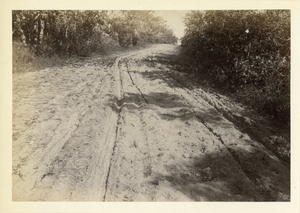 Provincetown to Boston, station no. 252, Bourne