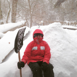 Relentless blizzard, January 2015