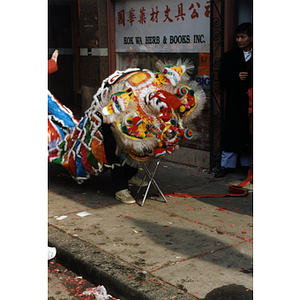 Man performs the dragon dance on a sidewalk in Boston's Chinatown during a Chinese New Year celebration